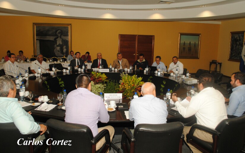 Productores2